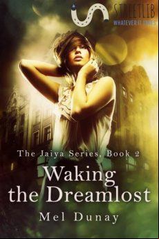 Waking The Dreamlost (ebook)