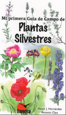Plantas Silvestres. Mi Primera Guia De Campo