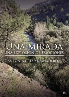 Una Mirada Una Explosión De Emociones (ebook)