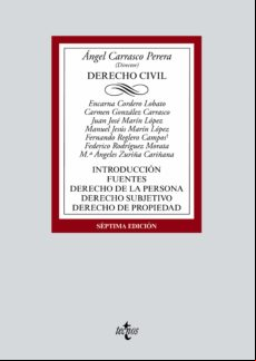Derecho Civil (ebook)