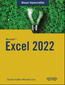 Excel 2022 (ebook)