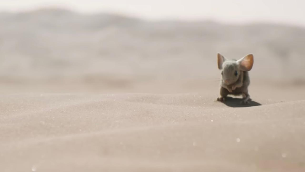 Dune: Parte dos