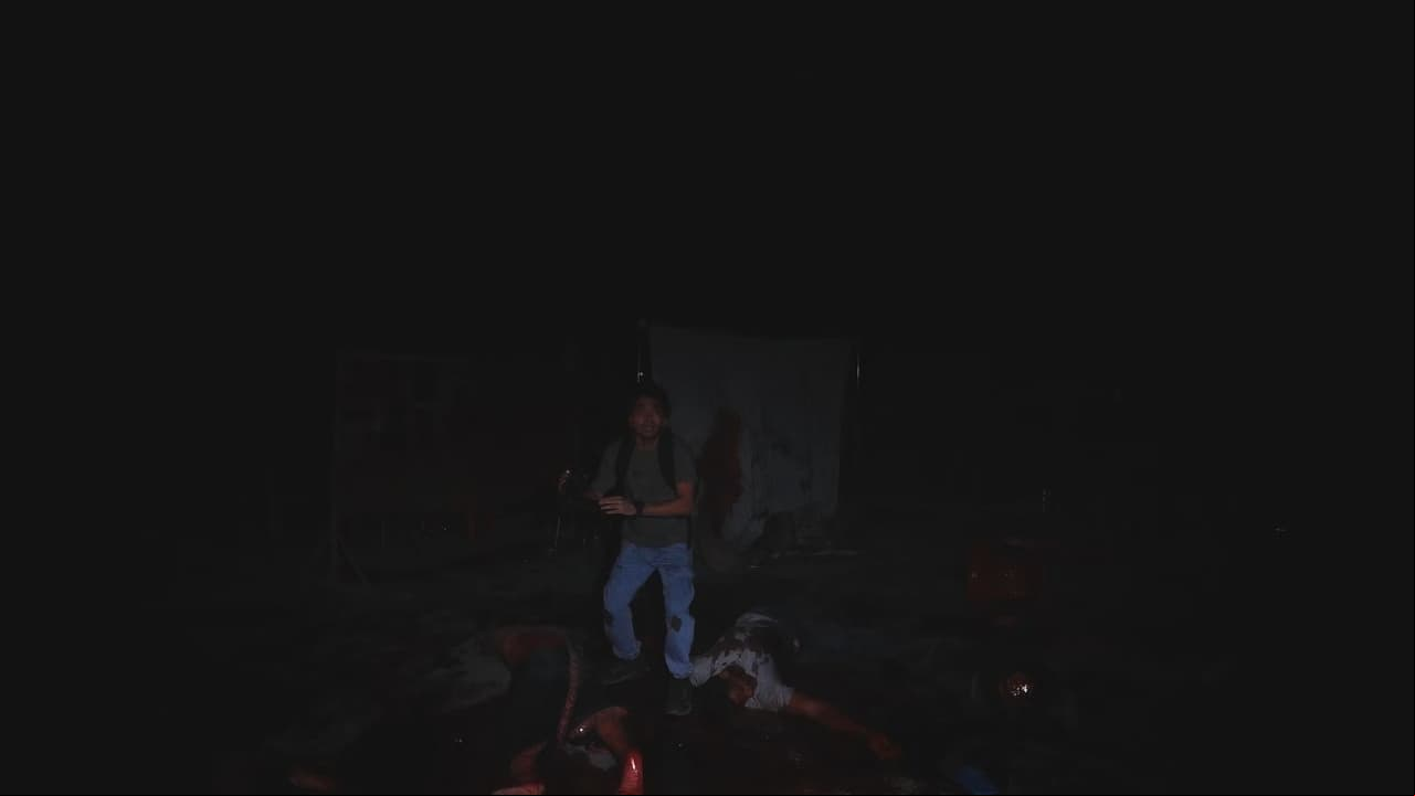 V/H/S/Beyond