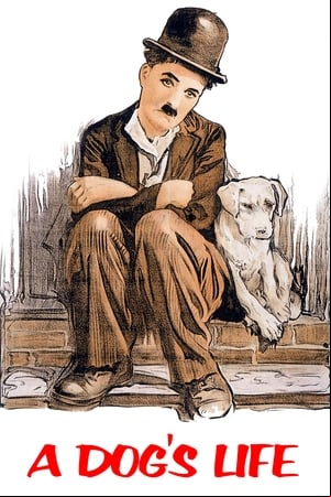 Vida de perro Vida de perro