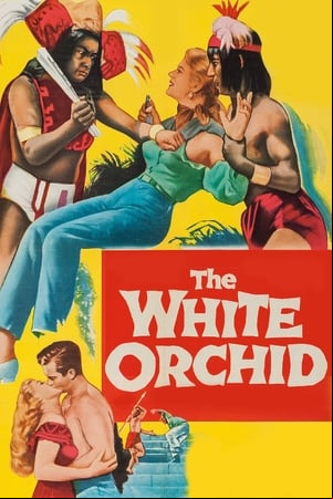 The White Orchid The White Orchid
