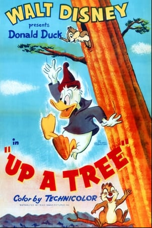 Up a Tree