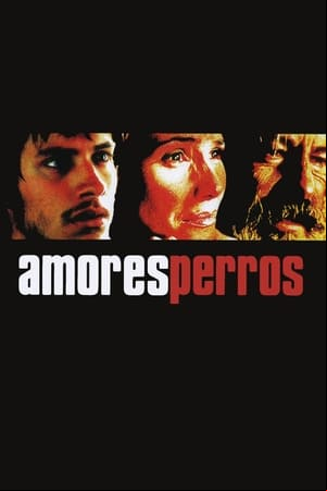 Amores perros Amores perros