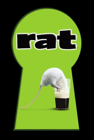 Mi vida como una rata