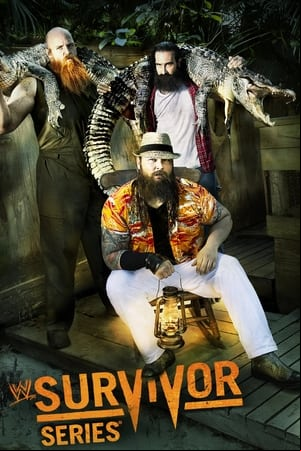WWE Survivor Series 2013 WWE Survivor Series 2013