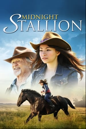 Midnight Stallion