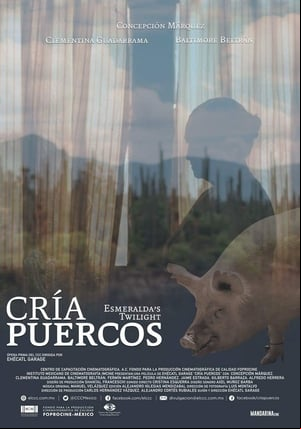 Cría puercos Cría puercos