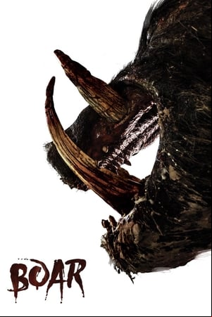 Boar Boar