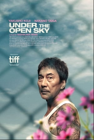 Under the Open Sky Under the Open Sky