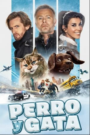 Perro y gata Perro y gata