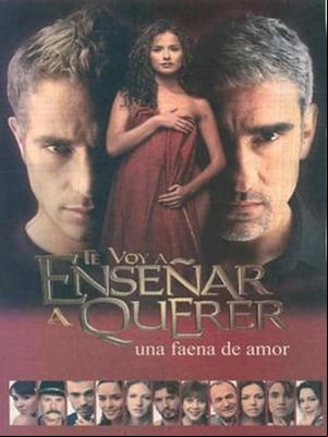 Te voy a enseñar a querer