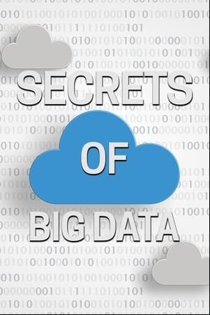 Secrets of Big Data