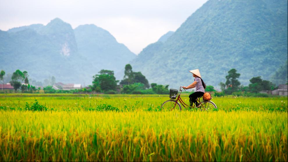 ¿Síndrome postvacacional? Vietnam siempre es una buena idea